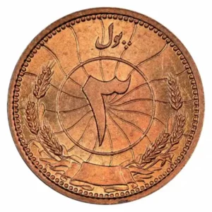 Afghanistan-1937-١٣١٦_1316-25-PUL-Coin-Circulated-Toned-with-Blue-Mosque-back-2