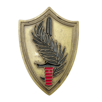 CENTCOM Commander (10th) General David Petraeus Medal