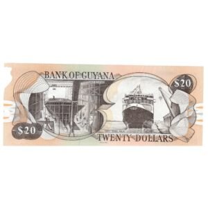 20 Dollars Guyana (1988-1996) 1 back