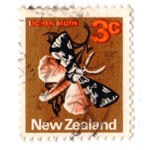 NEW ZEALAND Lichen Moth 1974 AED 5