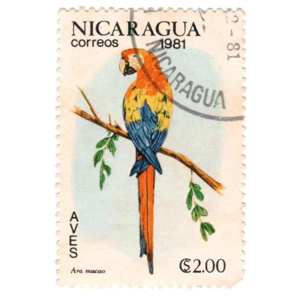 NICARAGUA-2cor-Ara-macao-1981-5Aed