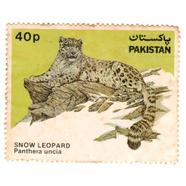 Pakistan 40p Snow Leporard 1984 10Aed