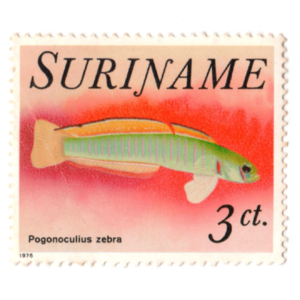 Surinam Fauna Fish Zebra stamp 1979 AED 5