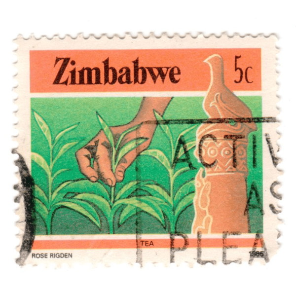 ZIMBABWE 5c Tea Rose Rigden 1985 3Aed