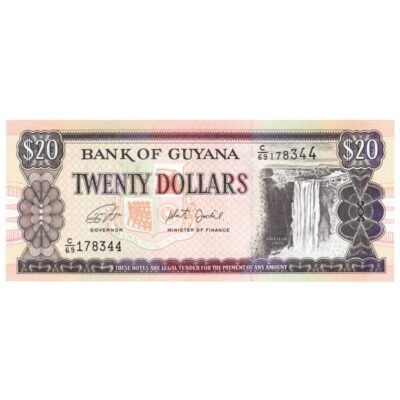 20 Dollars Guyana (1988-1996) UNC Condition