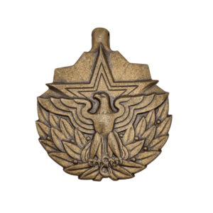 USA Meritorious Service Medal front (2)