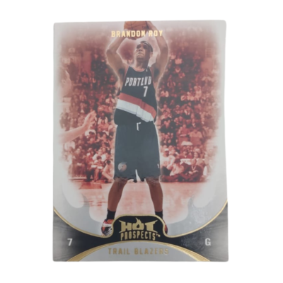 NBA Basketball Card Collection #14 Brandon Roy
