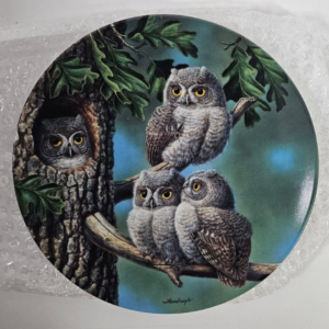 Vintage Peek A Whoo Screech Owls By Joe Thornbrugh Decorative Plate 1991 1
