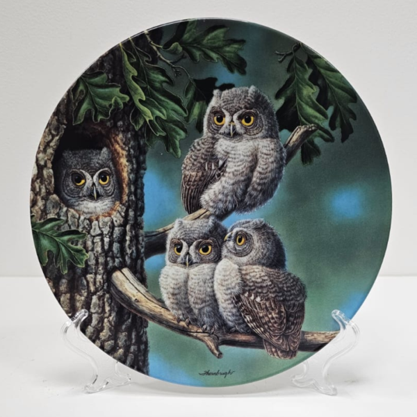 Vintage Peek A Whoo Screech Owls By Joe Thornbrugh Decorative Plate 1991