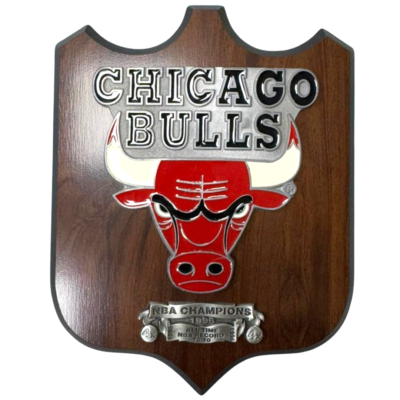 Chicago Bulls 1996 NBA Champs Vintage...