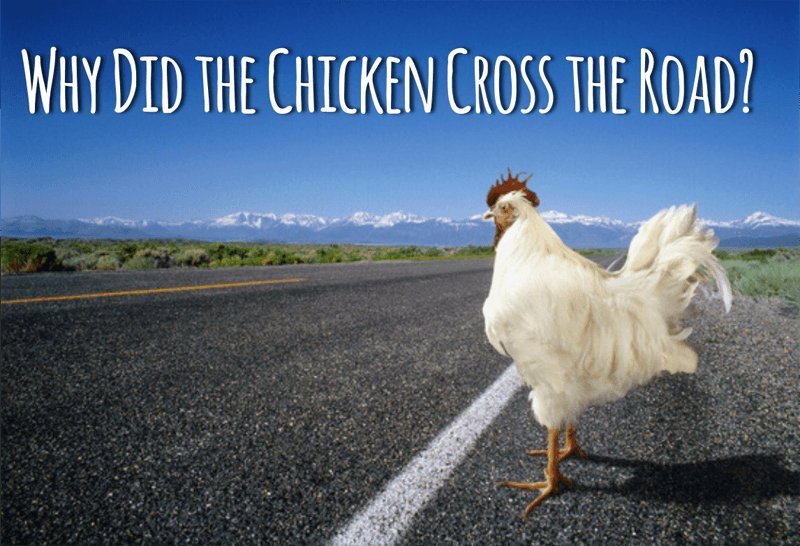 Chicken road casino - Descubre el Misterio detrás de la Famosa Ruta del Pollo en España